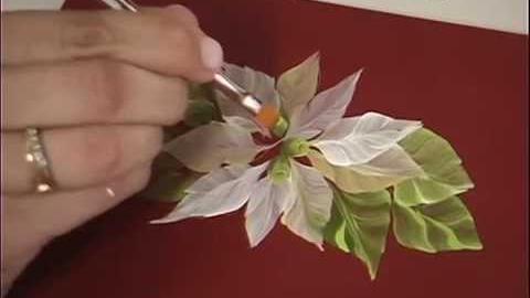 Pintura Gestual Flor de Natal