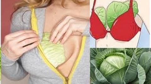 As Mulheres Estão Colocando Folha De Repolho No Peito, Depois Que Você Souber Vai Fazer O Mesmo
