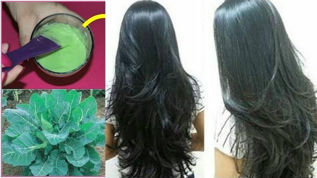 ESSA HIDRATAÇÃO FARÁ SEU CABELO CRESCER COMO NUNCA