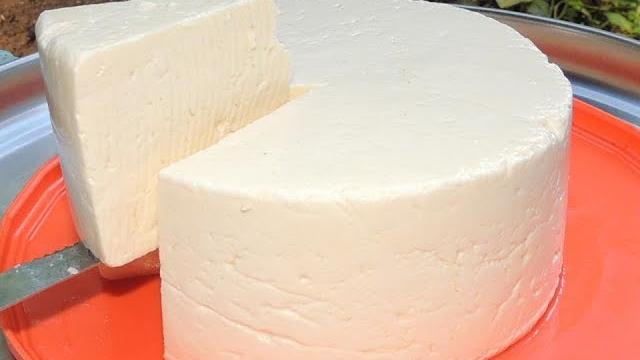 QUEIJO DA ROÇA – COMO FAZER O PASSO A PASSO