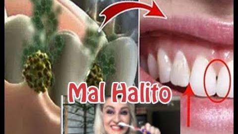 Como acabar com Mal Hálito forte na boca – Nina Della Rosa