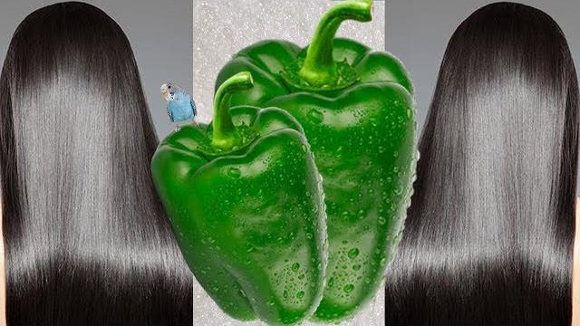 Escandalosa Progressiva caseira de Pimentão – Cabelo Liso escorrido 100% Sem FRIZZ