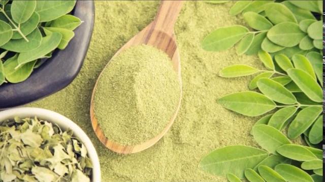 Essa Planta Reduz Açúcar no sangue e combate mais de 300 doenças