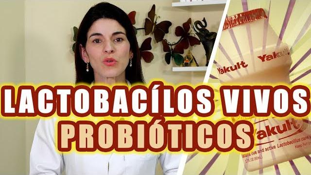 LACTOBACILOS VIVOS – Benefícios do Yakult, Kefir e outros Leites Fermentados