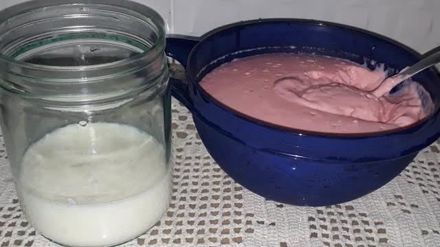 Receita de Danone Usando Kefir