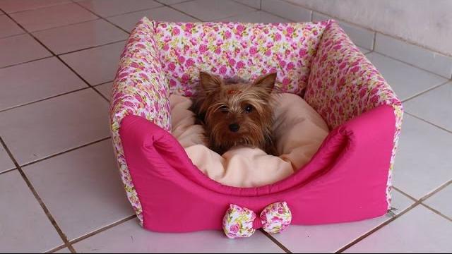 Como Fazer Caminha Para Pet 3 em 1