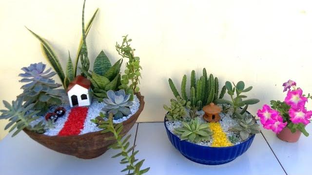 Mini Jardim na Bacia de suculentas – Mini Garden