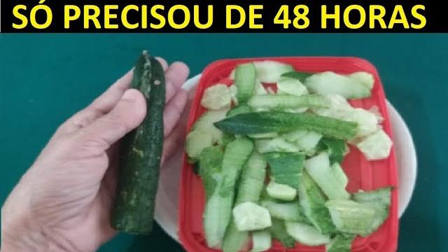 Eu Tomei Suco de CASCA DE PEPINO e 2 Dias Depois Fiquei ESPANTADA Com o Que Aconteceu