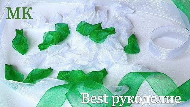 Flores de Organza