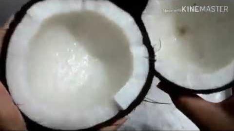 Produza Você Mesmo o seu Próprio Óleo de Coco e Mais Barato e Natural