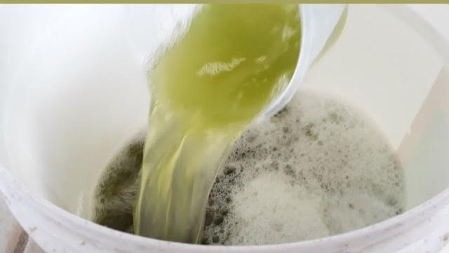 Faça 10 Litros de Desinfetante Top