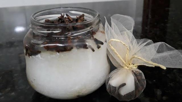 Como Deixar Sua Casa Livre de Moscas, Baratas e Traças