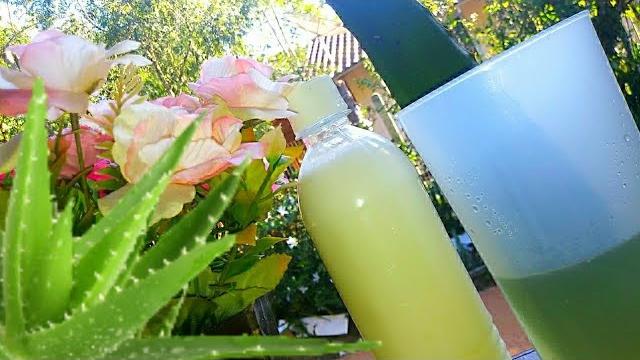 Condicionador de Aloe Vera Original – Nunca Mais Precisei Comprar