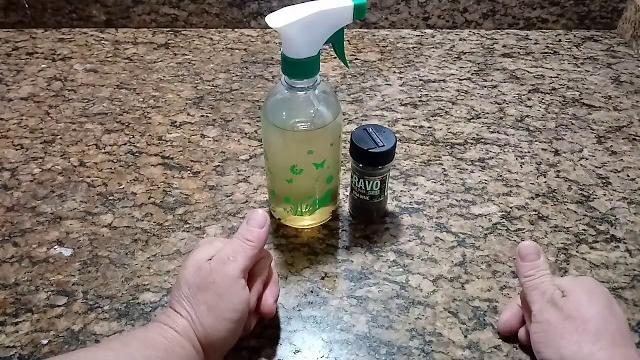 Banheiro Perfumado 24 Horas e Inseticida Natural para Insetos