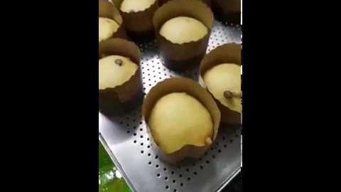 Como Fazer Panetone Profissional Artesanal