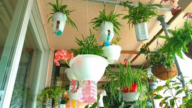 Criando Vasos Auto Irrigáveis Com Embalagens Recicladas