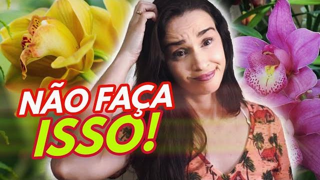 10 Erros mais Comuns no Cultivo de Orquídeas