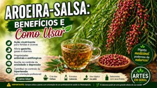 Aroeira Salsa: Manda Embora A Hipertensão E A Depressão