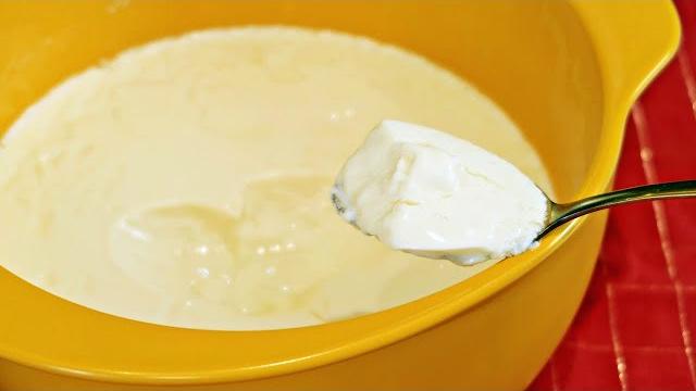 Iogurte Natural Caseiro – 2 Ingredientes