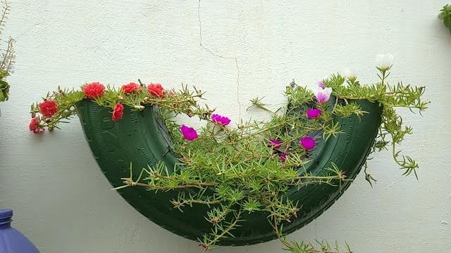 Onze Horas Plantadas No Pneu
