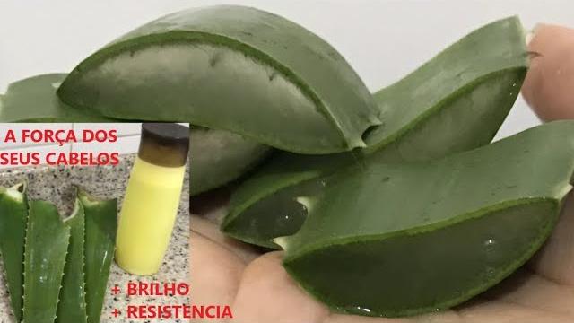 Shampoo Caseiro de Babosa Anti Queda – Força e Brilho
