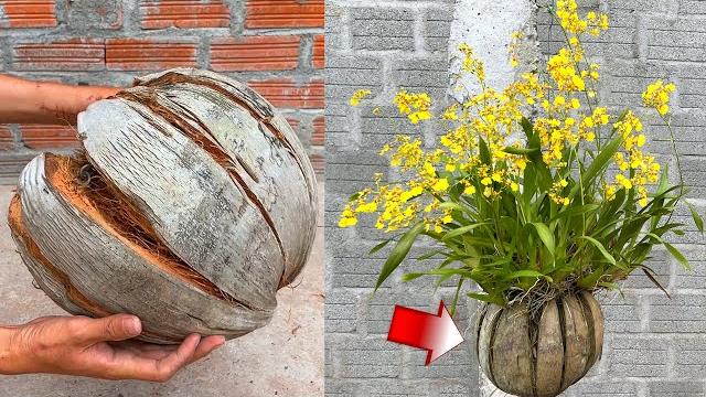 Como Fazer Vasos Para Orquídeas Utilizando Casca de Coco