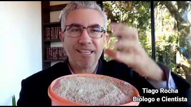 Ótimas Dicas Para Saúde Mental