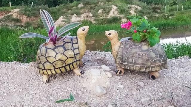 Como Fazer Tartarugas De Garrafa Pet Para Plantar Suculentas