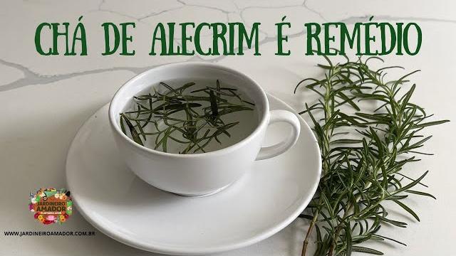 Conheça Os Poderes Medicinais do Chá de Alecrim
