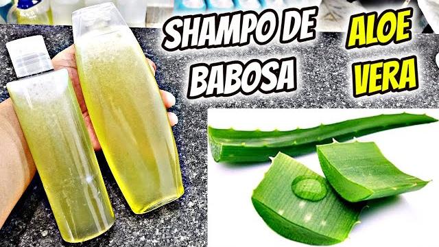 Como Fazer Shampoo Caseiro de Babosa Super Fácil Com Apenas 3 Ingredientes