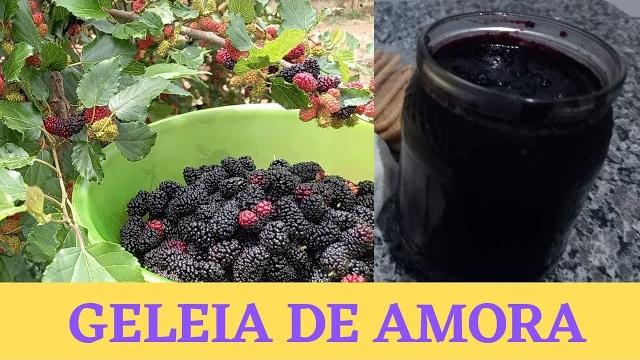 Como Preparar Geléia de Amora Colhida No Pé