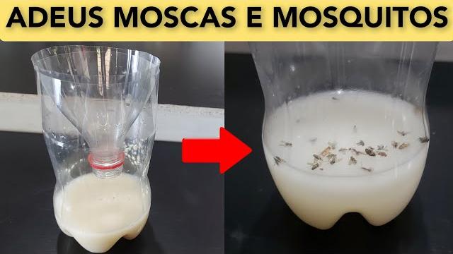 Armadilha Infalível: Livre-se das Moscas com Apenas 3 Ingredientes!