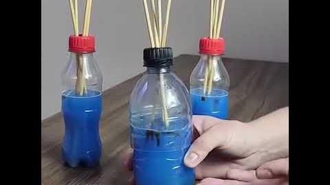 Dê Adeus aos Insetos: Faça sua Casa Perfumada com Esta Receita Simples
