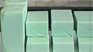 Passo a Passo: Sabão Caseiro Poderoso para Alumínio